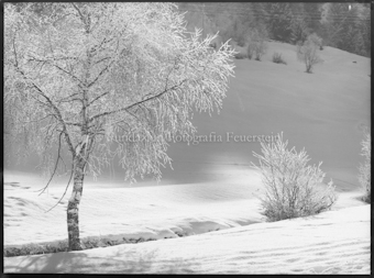Wintermotive aus Scuol