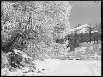 Wintermotiv