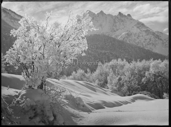 Wintermotiv