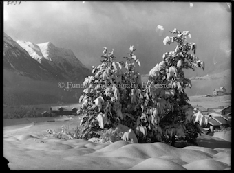 Wintermotiv