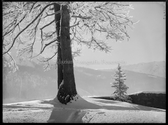 Wintermotiv