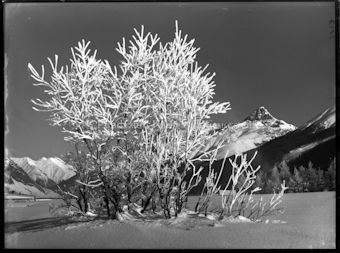 Wintermotiv