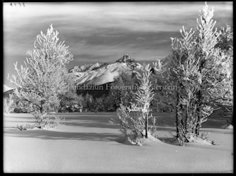 Wintermotiv