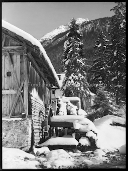 Wintermotiv