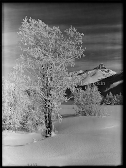 Wintermotiv