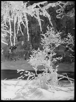 Wintermotiv