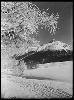 Wintermotiv