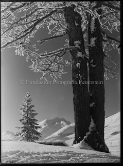 Wintermotiv