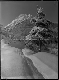 Wintermotiv bei Scuol