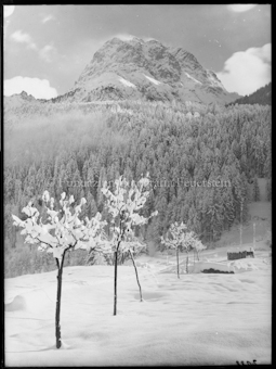 Wintermotiv aus Scuol