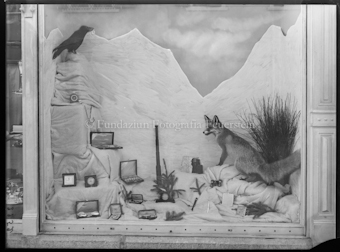 Schaufenster von Hermann Rauch