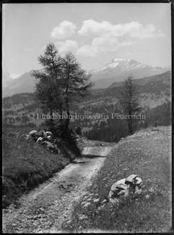 Lenzerheide Feldweg