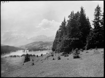 Lenzerheide Landschaft mit Baumgruppe rechts