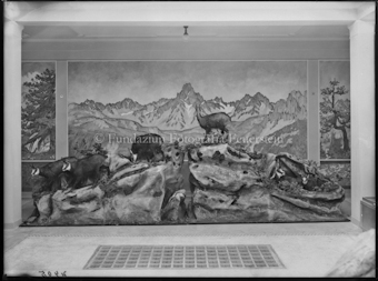 Nationalparkmuseum Gämsgruppe mit Gemälde im Hintergrund