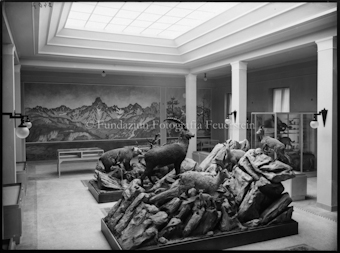 Nationalparkmuseum oberer Saal