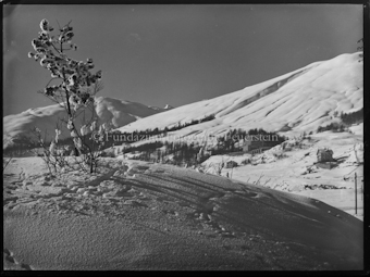 Zuoz Winter, Castell mit Villa Randolina