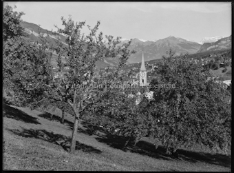 Chur Martinsturm zwischen Obstgarten durch