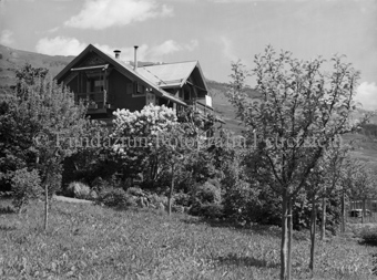 Haus Maler Stocker mit Blütenbaum
