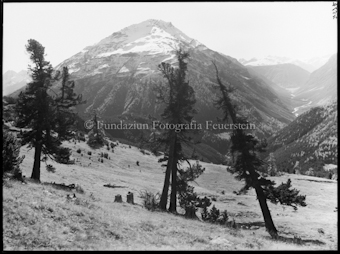 Nationalpark, Alp la Schera Blick gegen Livigno