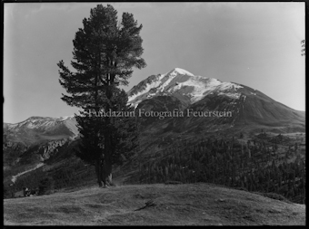 Nationalpark, Blick auf Piz D'aint