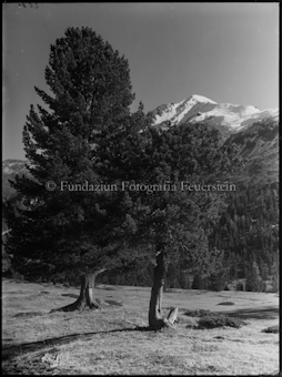 Nationalpark, Blick auf Piz D'aint