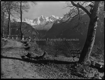 Bergell Soglio Bondascagruppe mit Bänkli am Baum