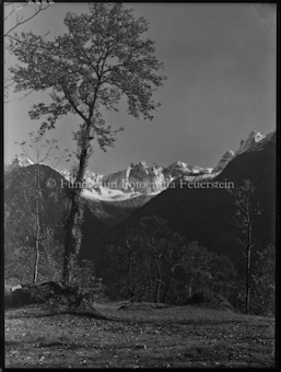 Bergell Soglio Bondascagruppe von Kastanienwald aus