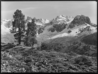 Nationalpark Foppa-Tamangur mit zwei Arven links