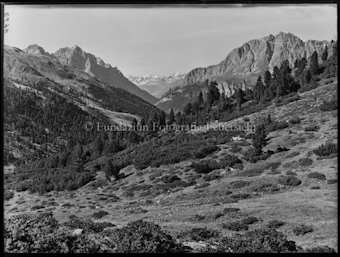 Nationalpark Blick von Foppa-Tamangur auf S-charltal