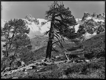 Nationalpark Urwald Tamangur