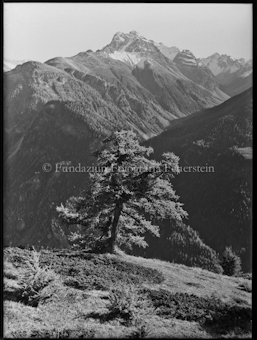 Ardez, Blick von Mot del Om auf Piz Nair