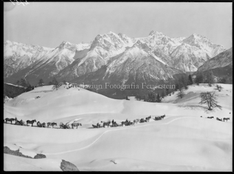 Ftan, Schlittenfahrer nach Loret