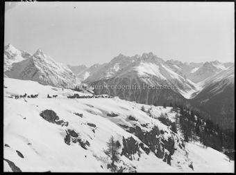 Ftan, Schlittenfahrer nach Loret