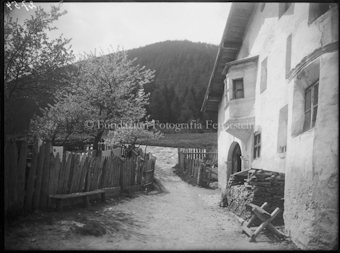 Martinsbruck, Hans mit Blütenbaum