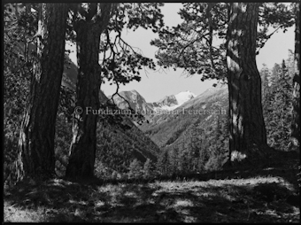 Val Cluoza mit Piz Quartervals