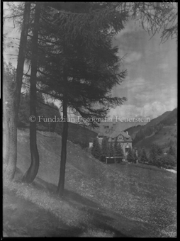 Churwalden Lindenhof mit Lärchen links