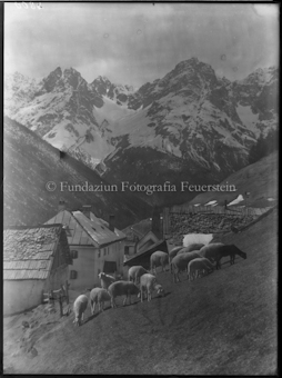 Winter S-charl Dorf, mit Pisocgruppe und Schafe