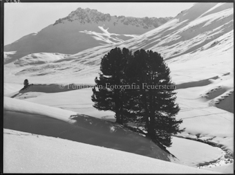 Winter S-charl Praditschöl zwei Arven