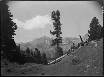 Nationalpark Plan dals Bovs