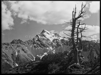 Nationalpark Piz Foraz von Pisoc aus