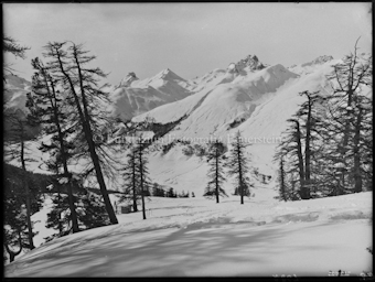 Winter Zuoz Blick von Arpiglia auf Piz Kesch