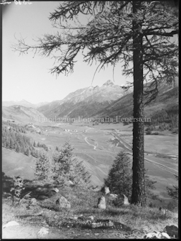 Sommer Zuoz mit Piz d'Esen