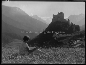 Schloss Tarasp, Blumenwiese (Ursula Gilli)