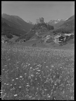 Schloss Tarasp, Blumenwiese