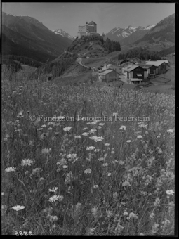 Schloss Tarasp, Blumenwiese