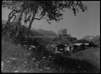 Schloss Tarasp, Blumenwiese und Birken