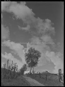 Stimmungsbild bei Tarasp