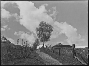 Stimmungsbild bei Tarasp