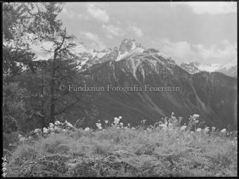 Ftan Piz Nair mit Lischana 1931 Neuschnee
