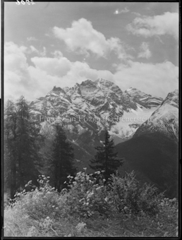 Ftan Piz Pisoc 1931 Neuschnee